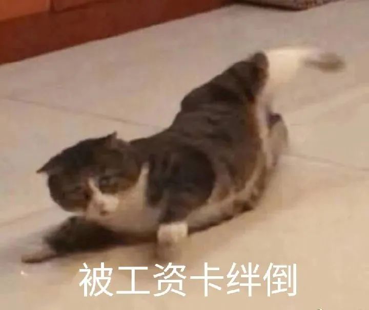 微信图片_20230328103906.jpg